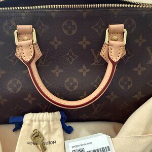 Louis Vuitton Speedy 30 Monogram (discontinued)